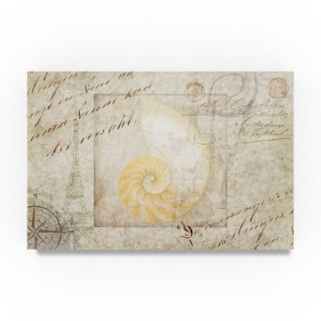 Lightboxjournal 'Gypsy Sea Type Spiral Shell' Canvas Art,12x19